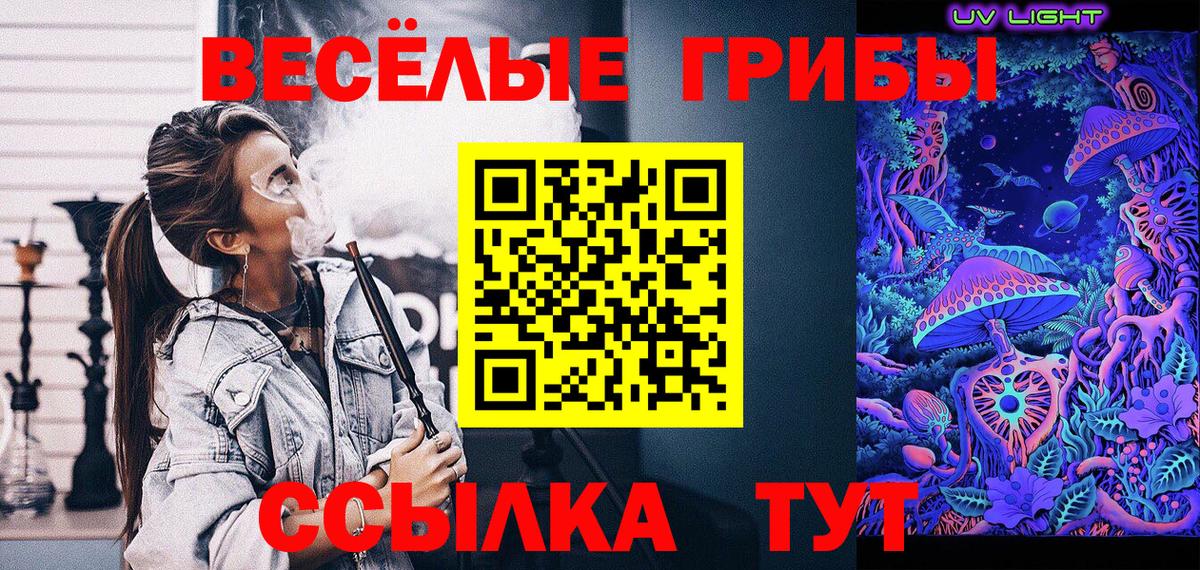 Псилоцибиновые грибы Psilocybine cubensis Мурино